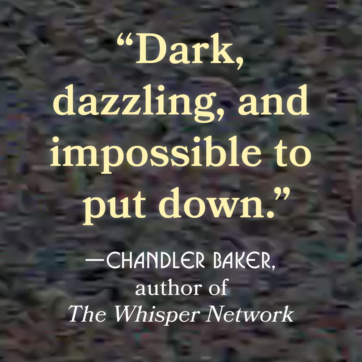 The Midnight Show: A Novel