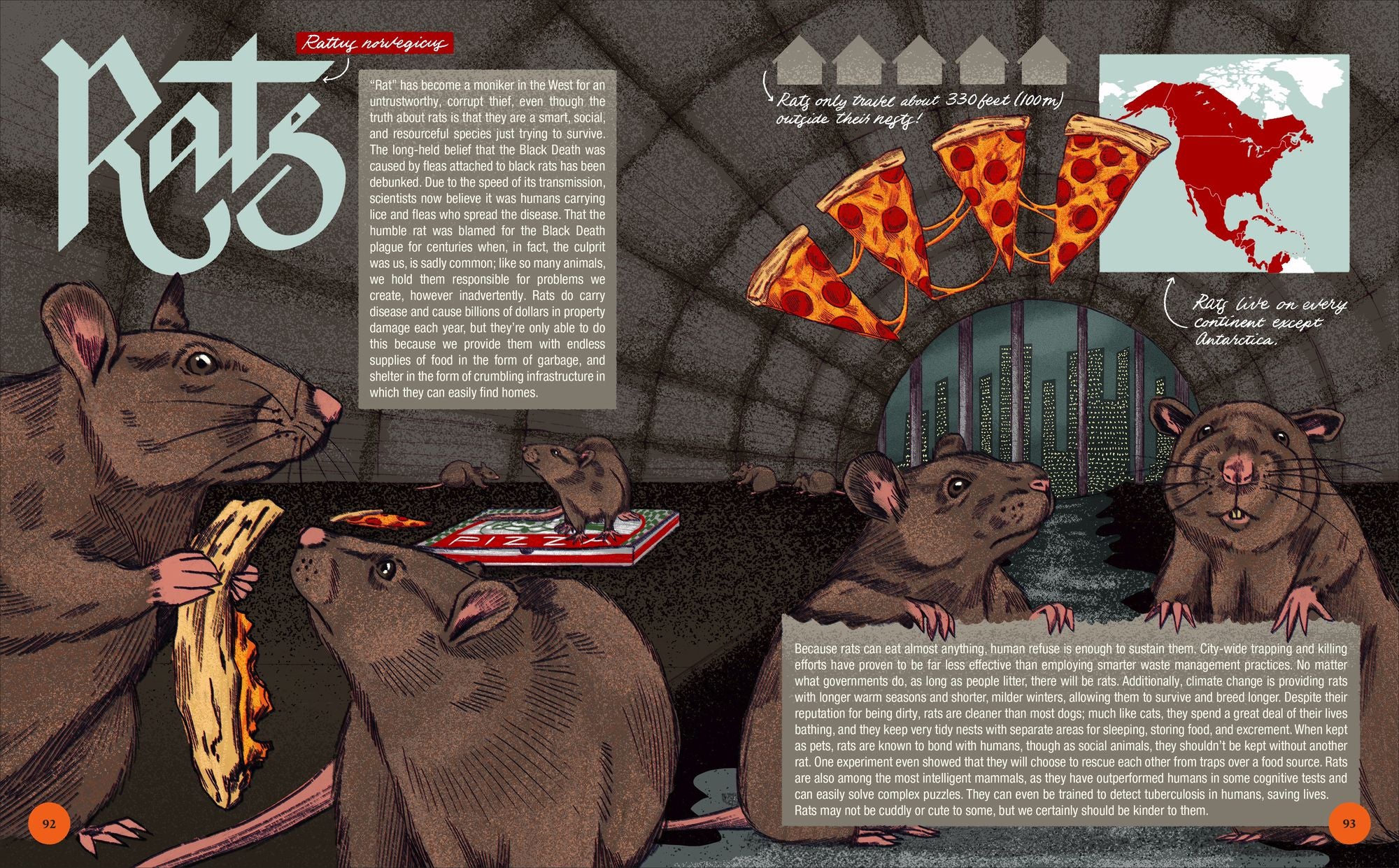 Pests & Other Friends: Discover the True Nature of the Most Maligned Animals