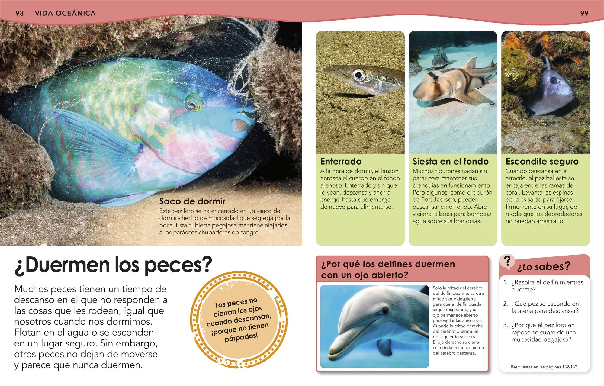 ¿Sabías qué? Océanos (Did You Know? Ocean)