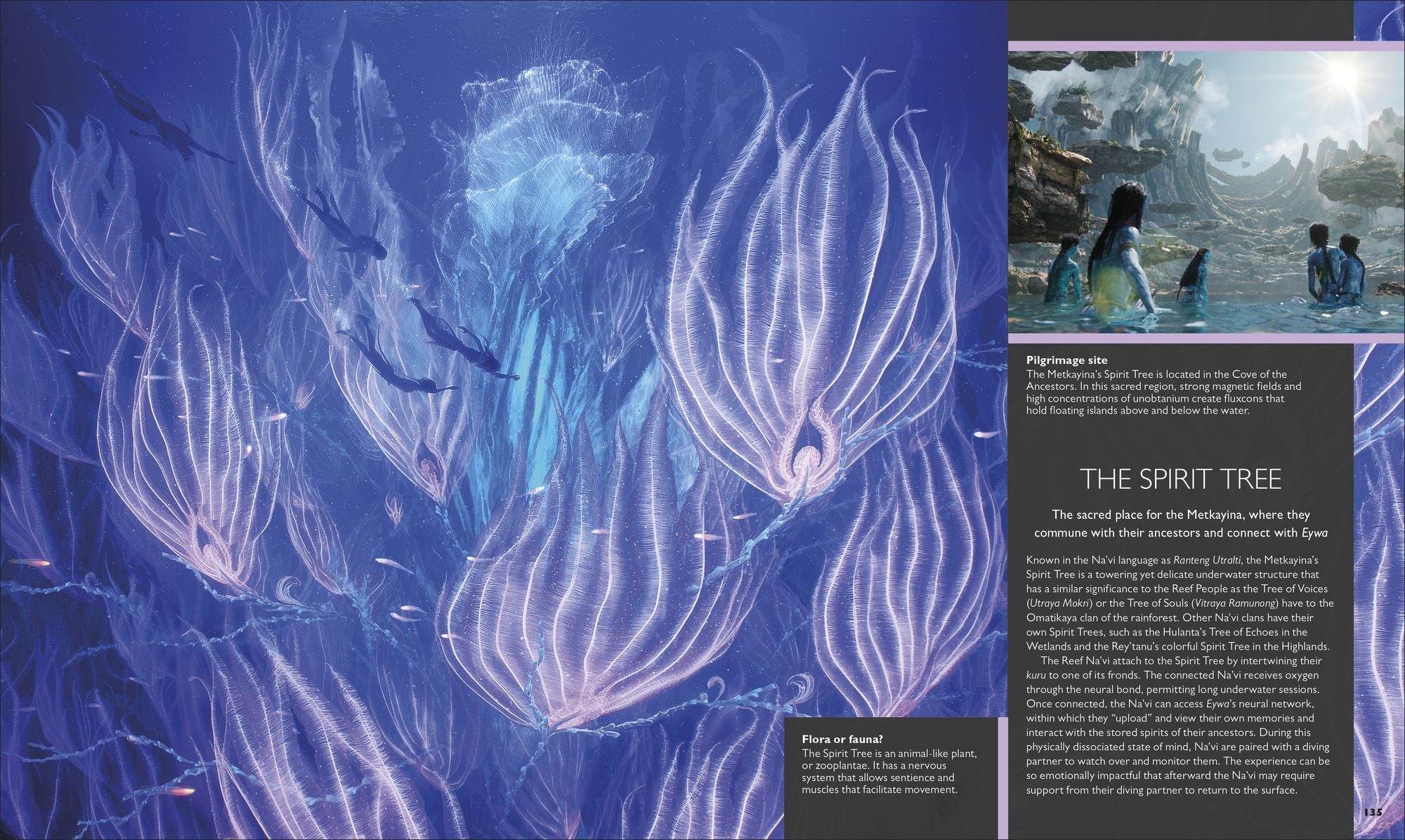 The World of Avatar Updated Edition
