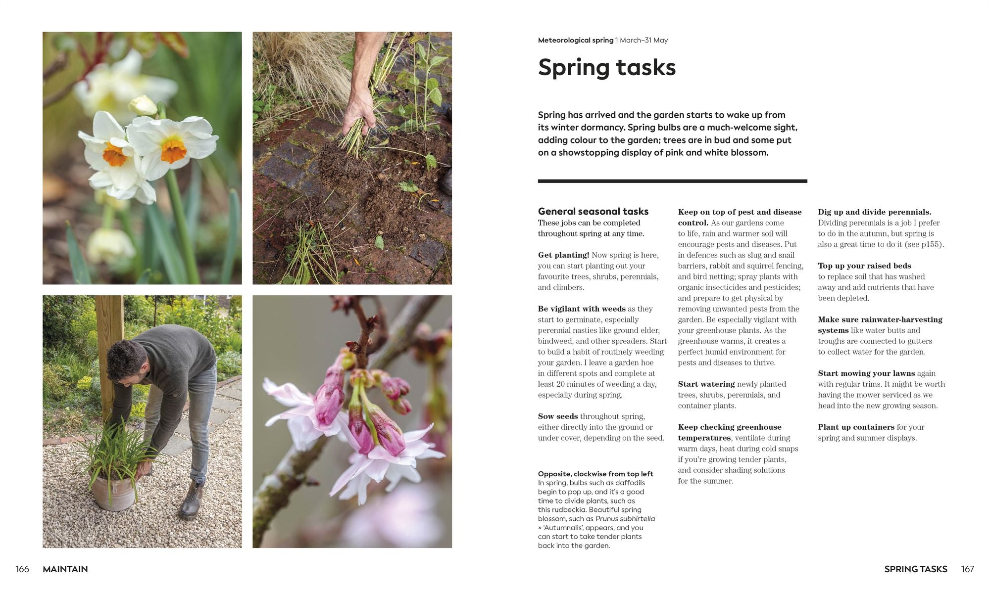 The Weekend Gardener: Weekend Projects and Everyday Inspiration for the Busy Gardener