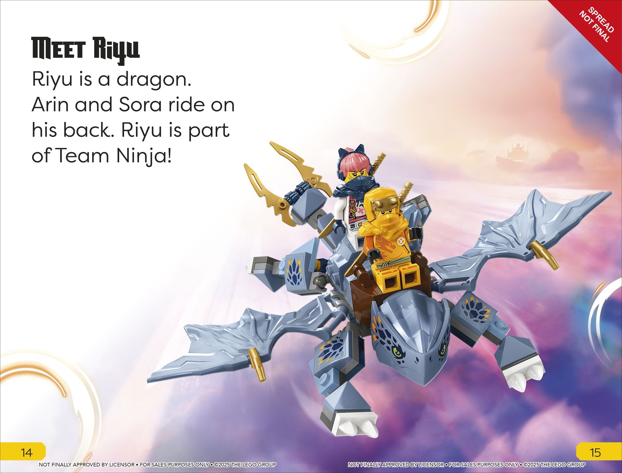 DK Super Readers Level 1 LEGO Ninjago: Meet the Ninja