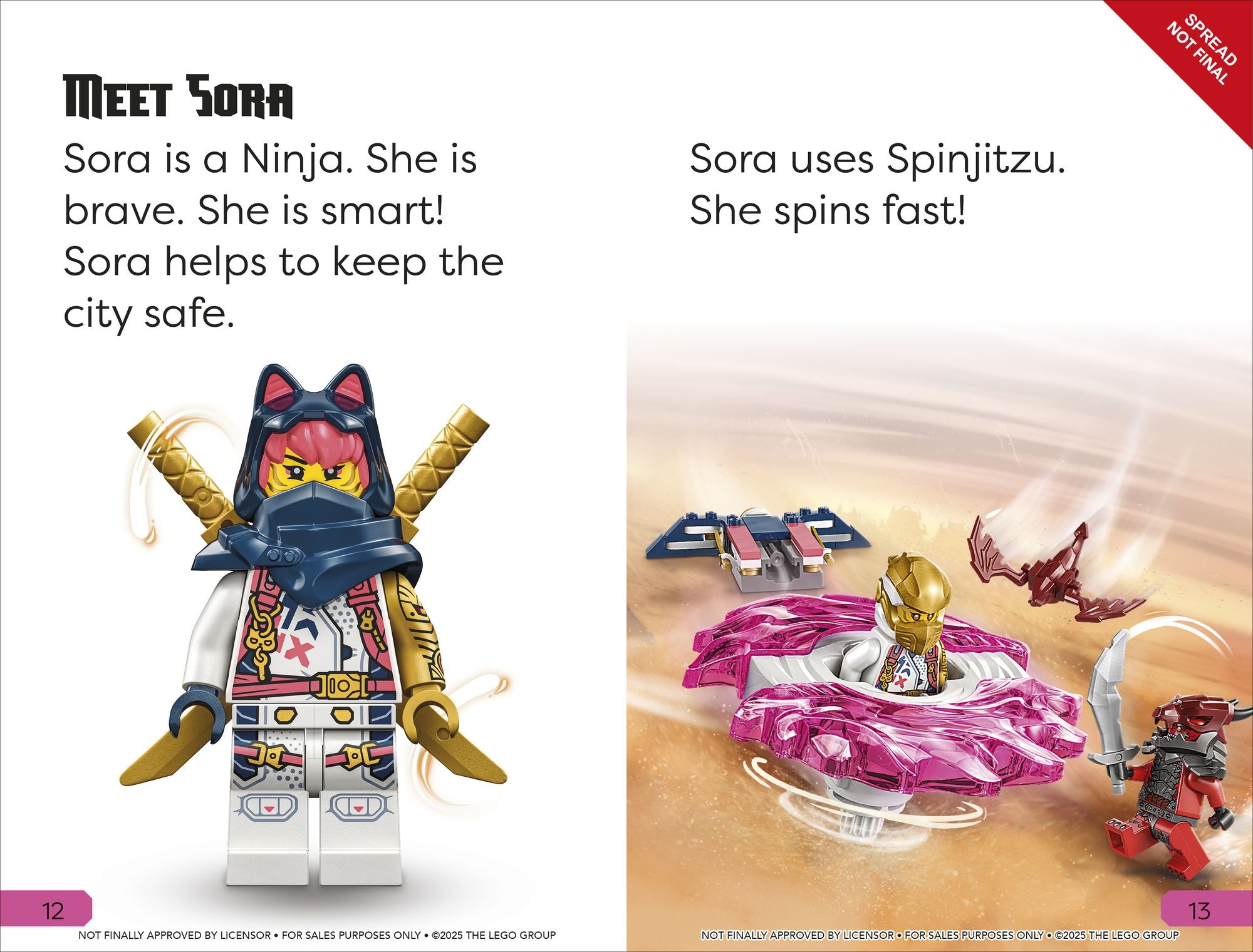 DK Super Readers Level 1 LEGO Ninjago: Meet the Ninja