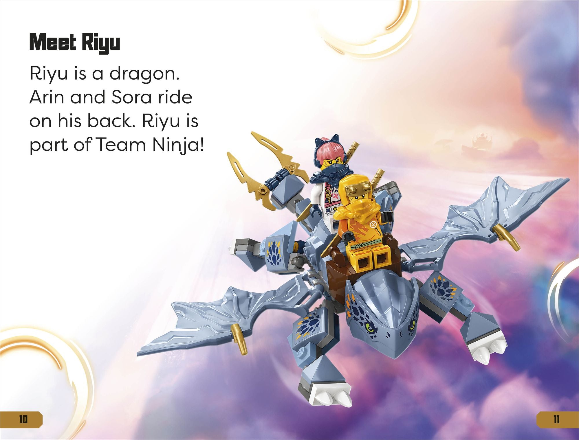 DK Super Readers Level 1 LEGO Ninjago: Meet the Ninja
