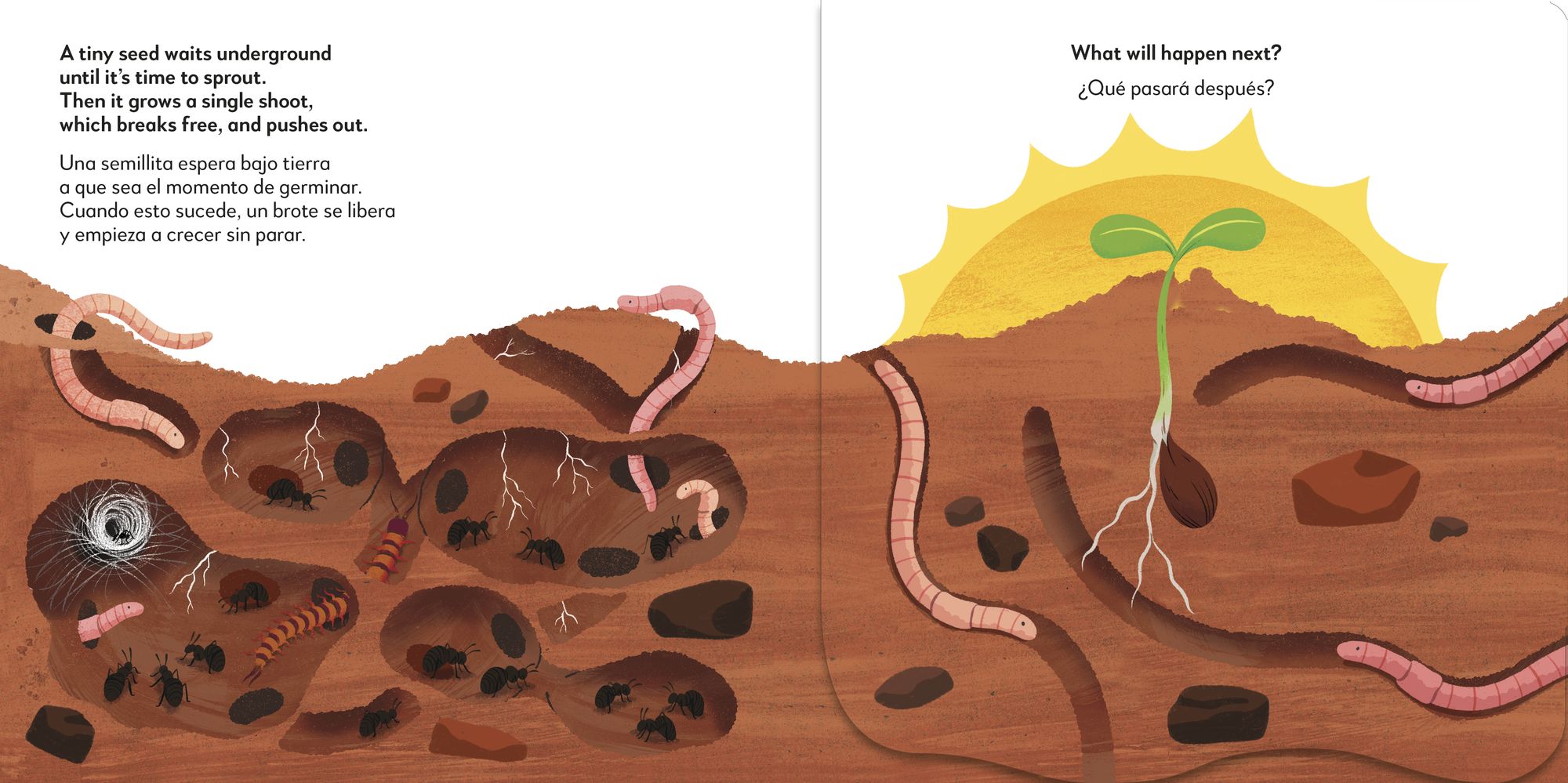 Bilingual Pop-Up Peekaboo! Tree / El árbol