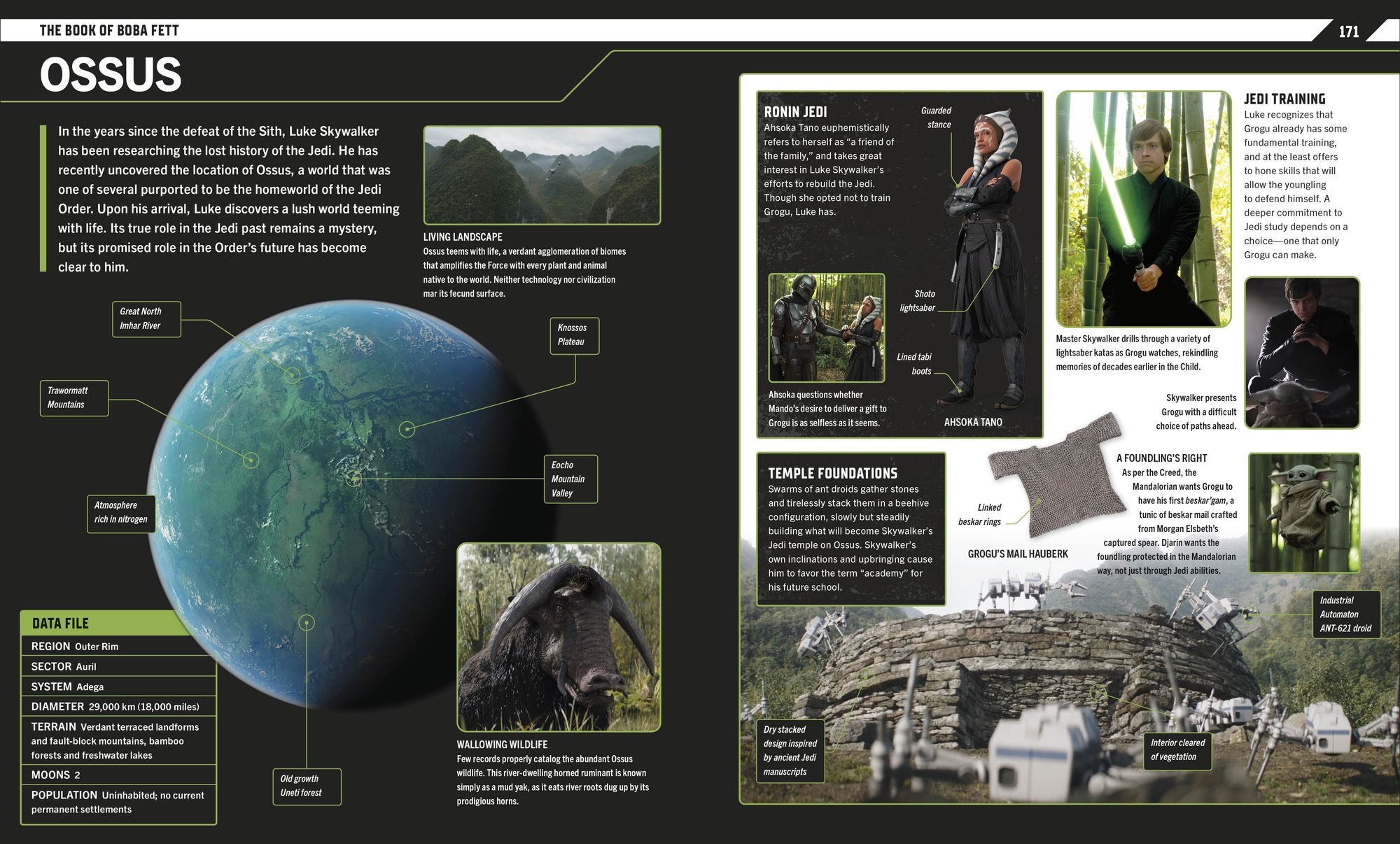 Star Wars The Mandalorian Visual Guide