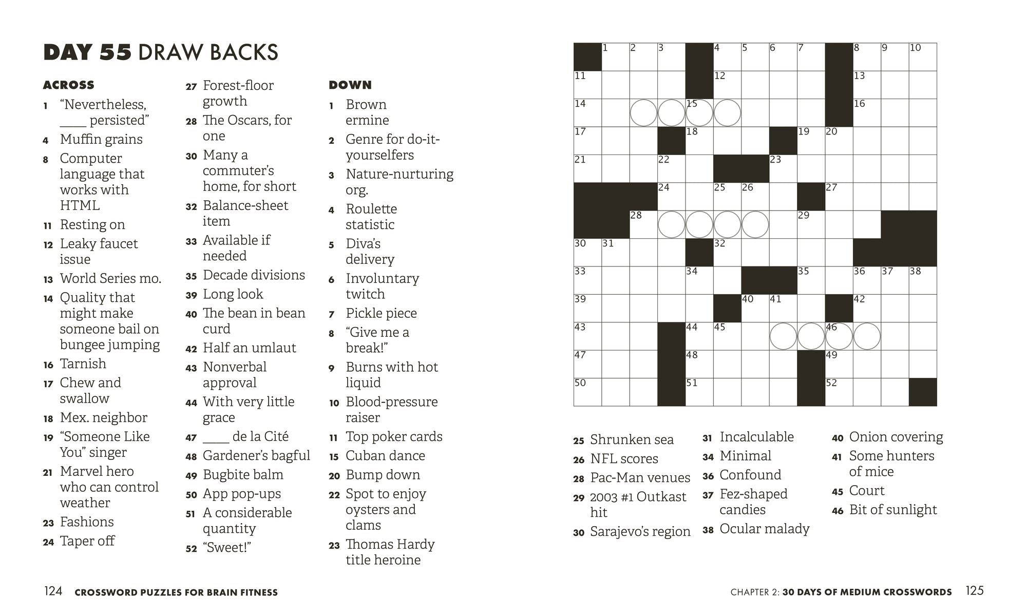 Brain Fitness Puzzle Games Variety Pack: Enlarged Print Sudoku, Crosswords, Word Search