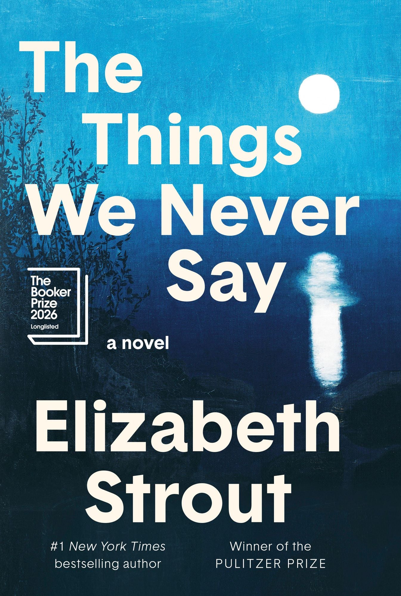 The Things We Never Say: A Novel