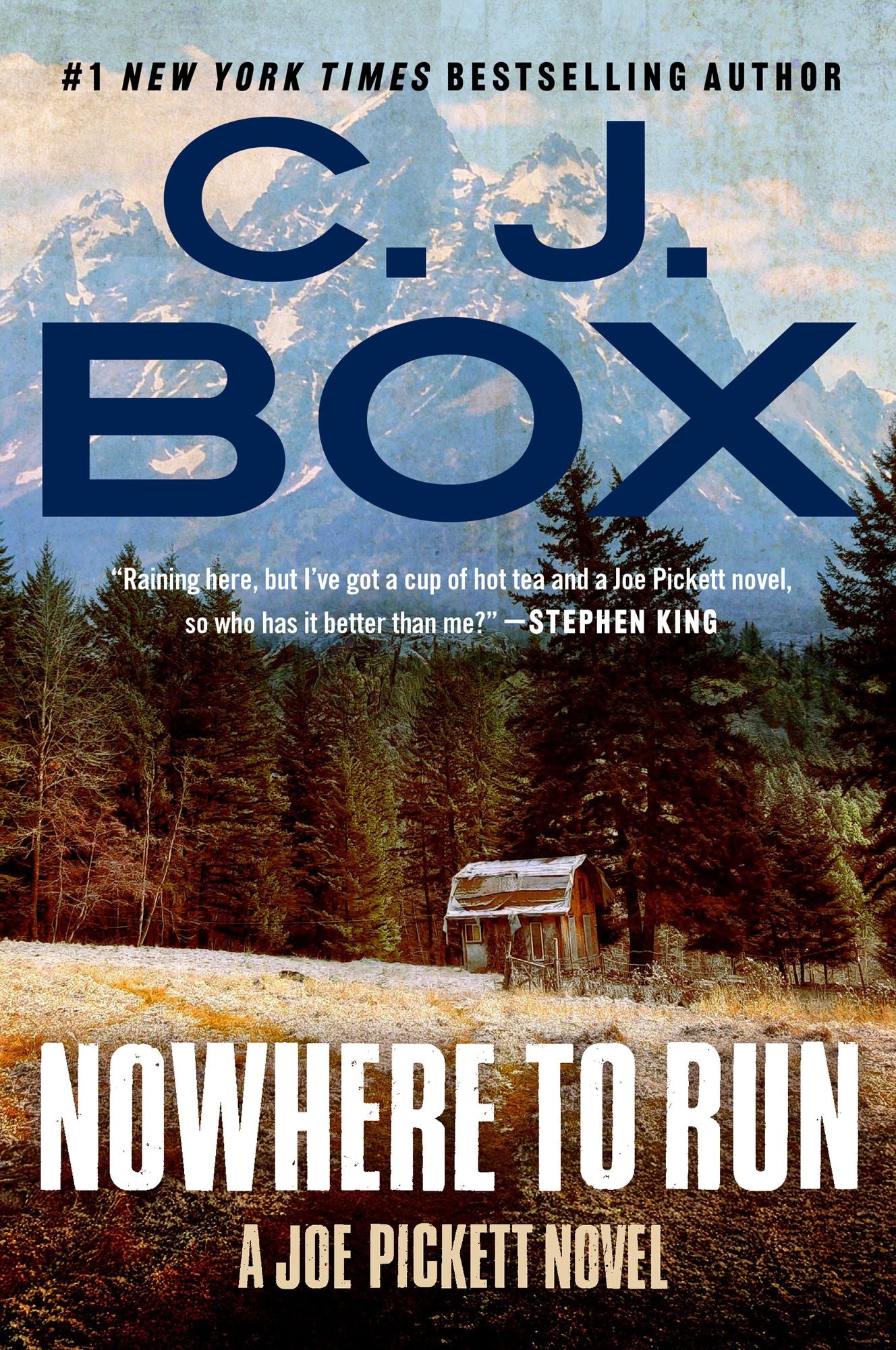 Nowhere to Run (Joe Pickett Series #10)