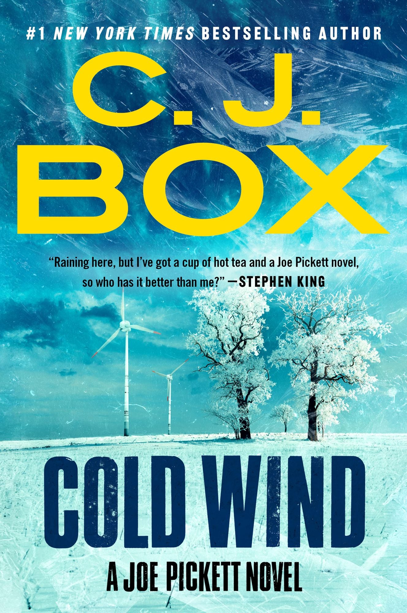 Cold Wind (Joe Pickett Series #11)