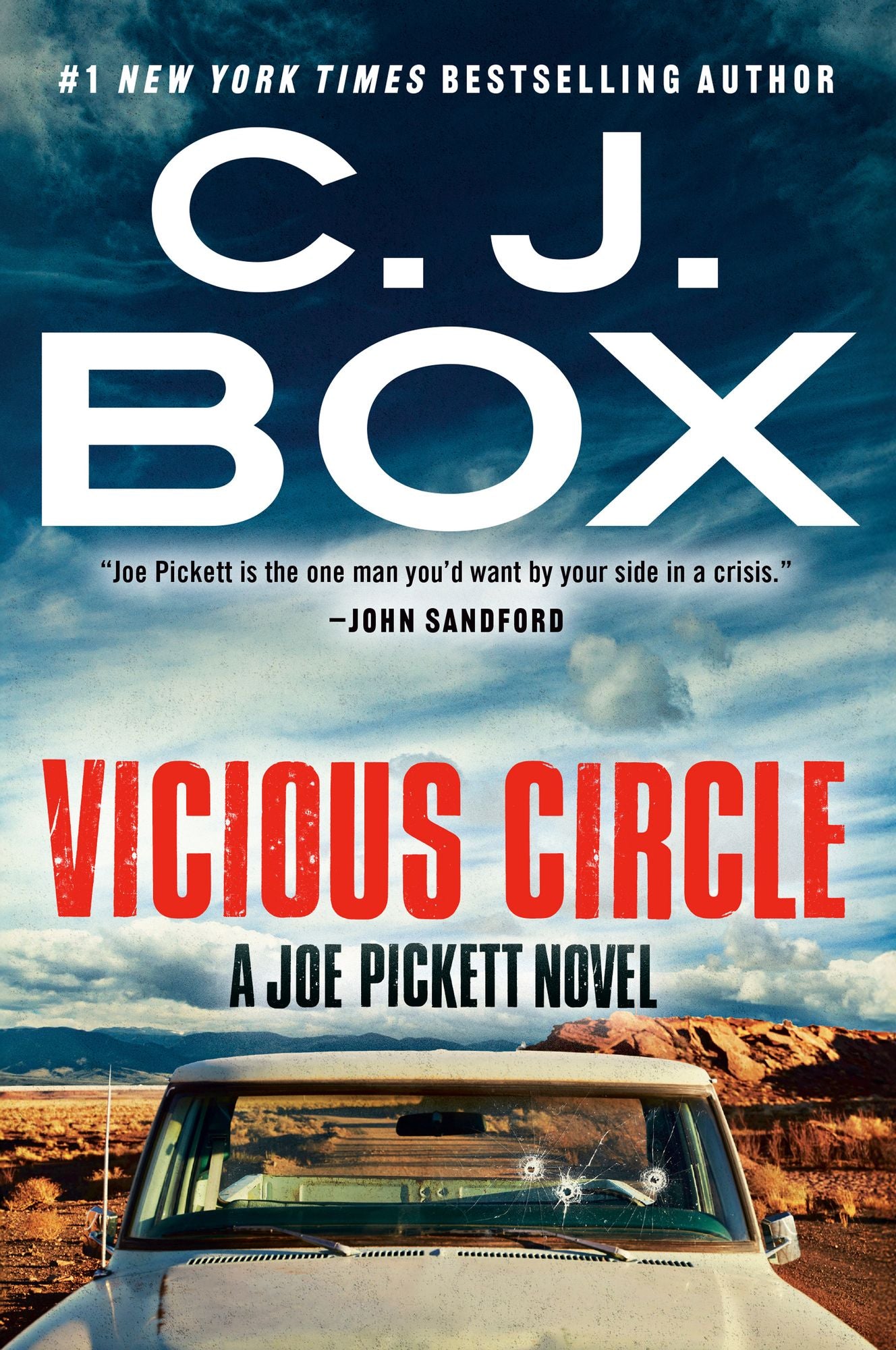 Vicious Circle (Joe Pickett Series #17)
