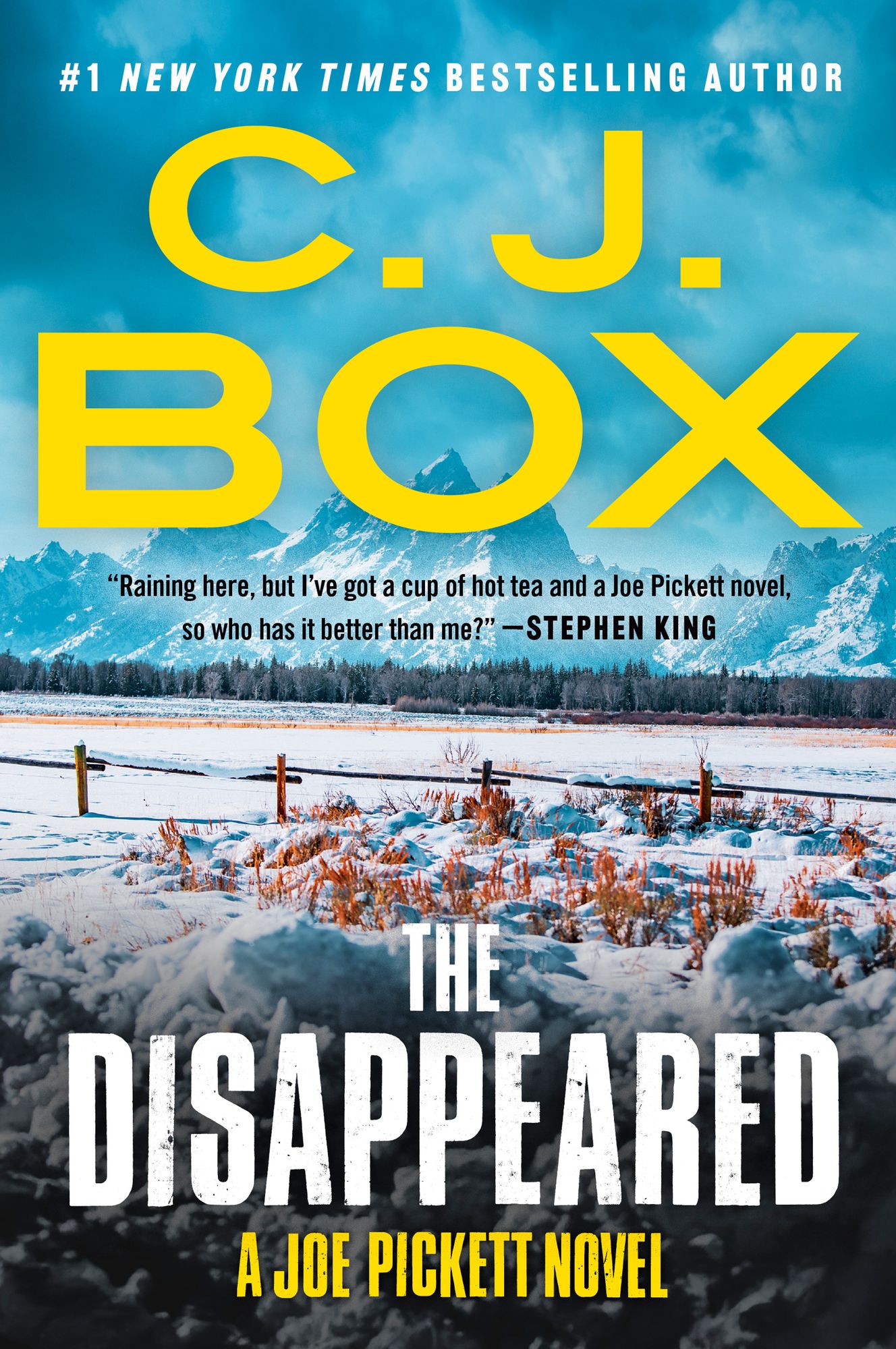 The Disappeared (Joe Pickett Series #18)