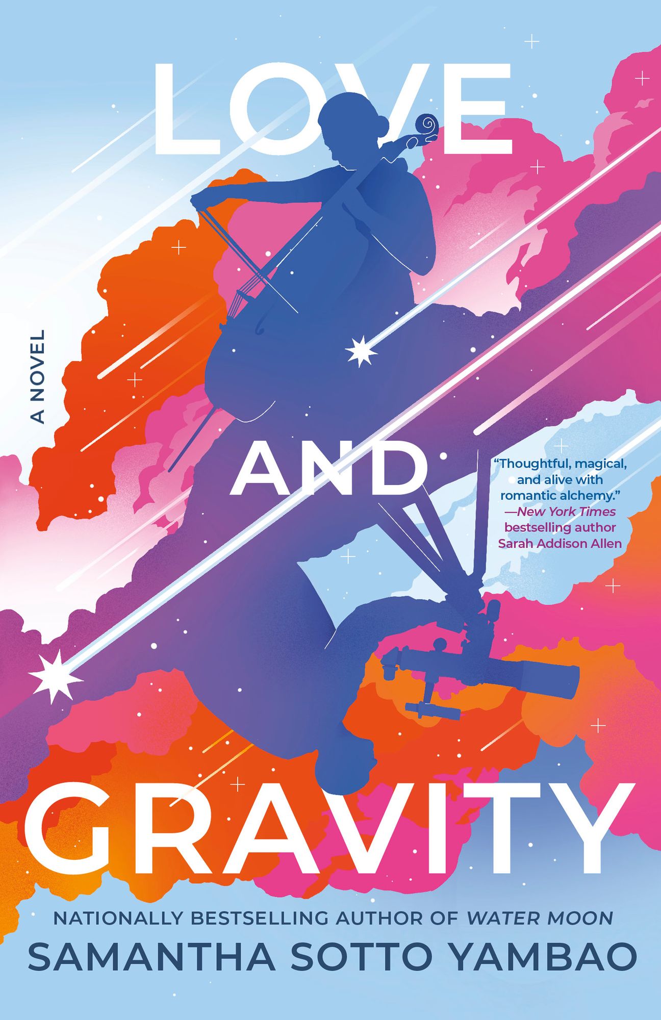Love and Gravity: A Novel