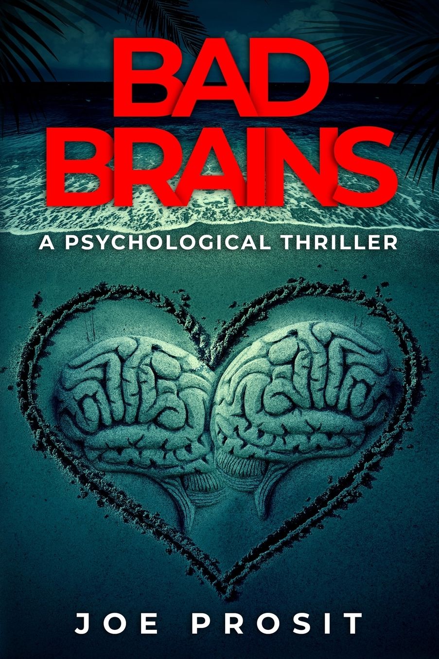 Bad Brains: A Pyschological Thriller