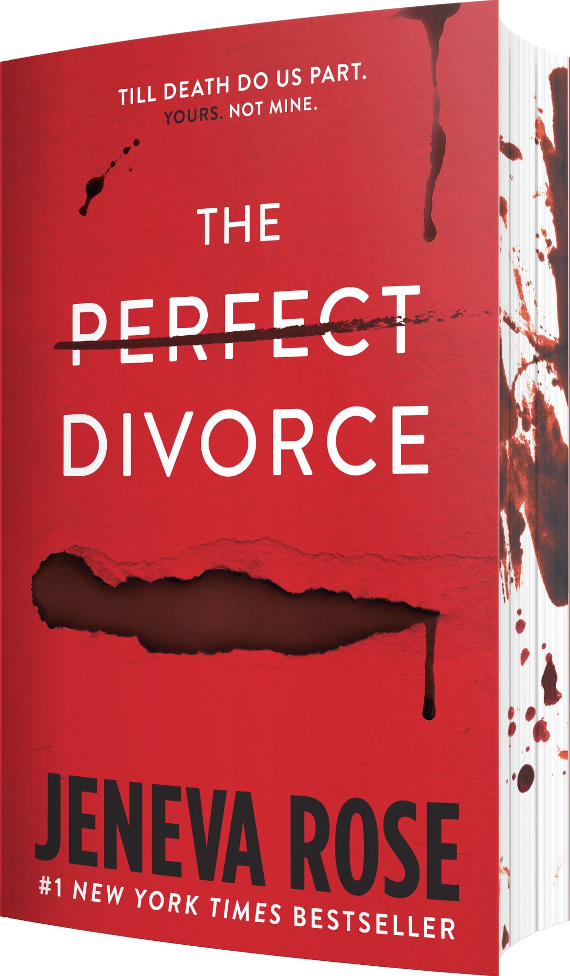 The Perfect Divorce (B&N Exclusive Edition)