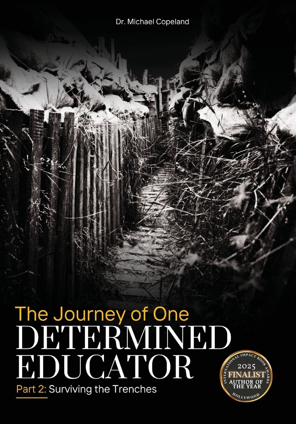 The Journey of One Determined Educator Part 2: Surviving the Trenches