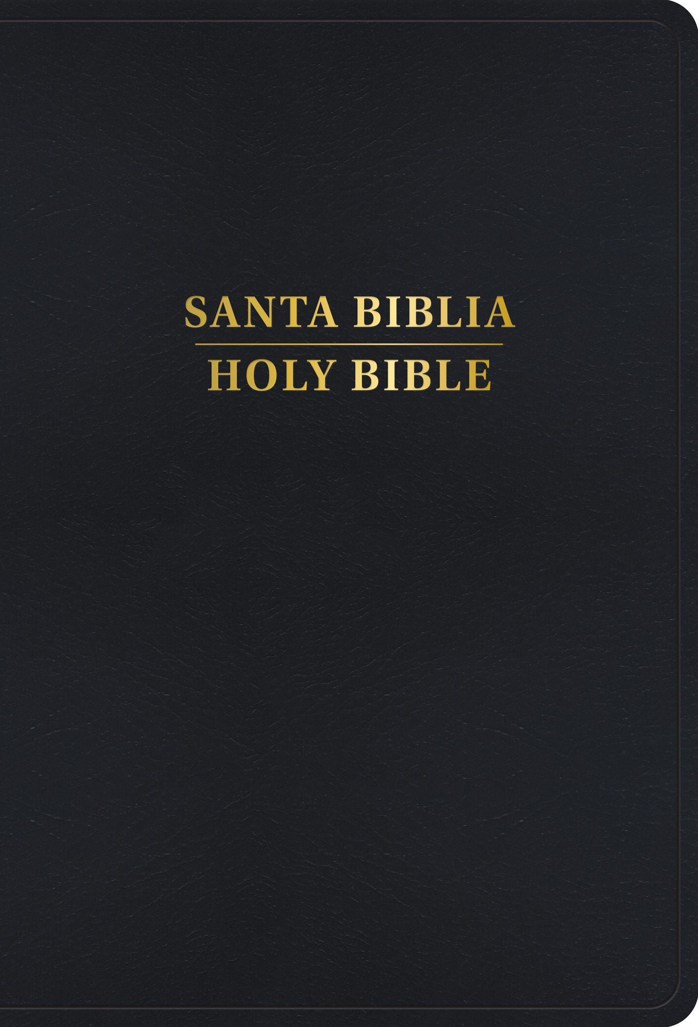 RVR 1960/KJV Biblia bilingüe letra grande, negro imitación piel con índice (Edición 2024)