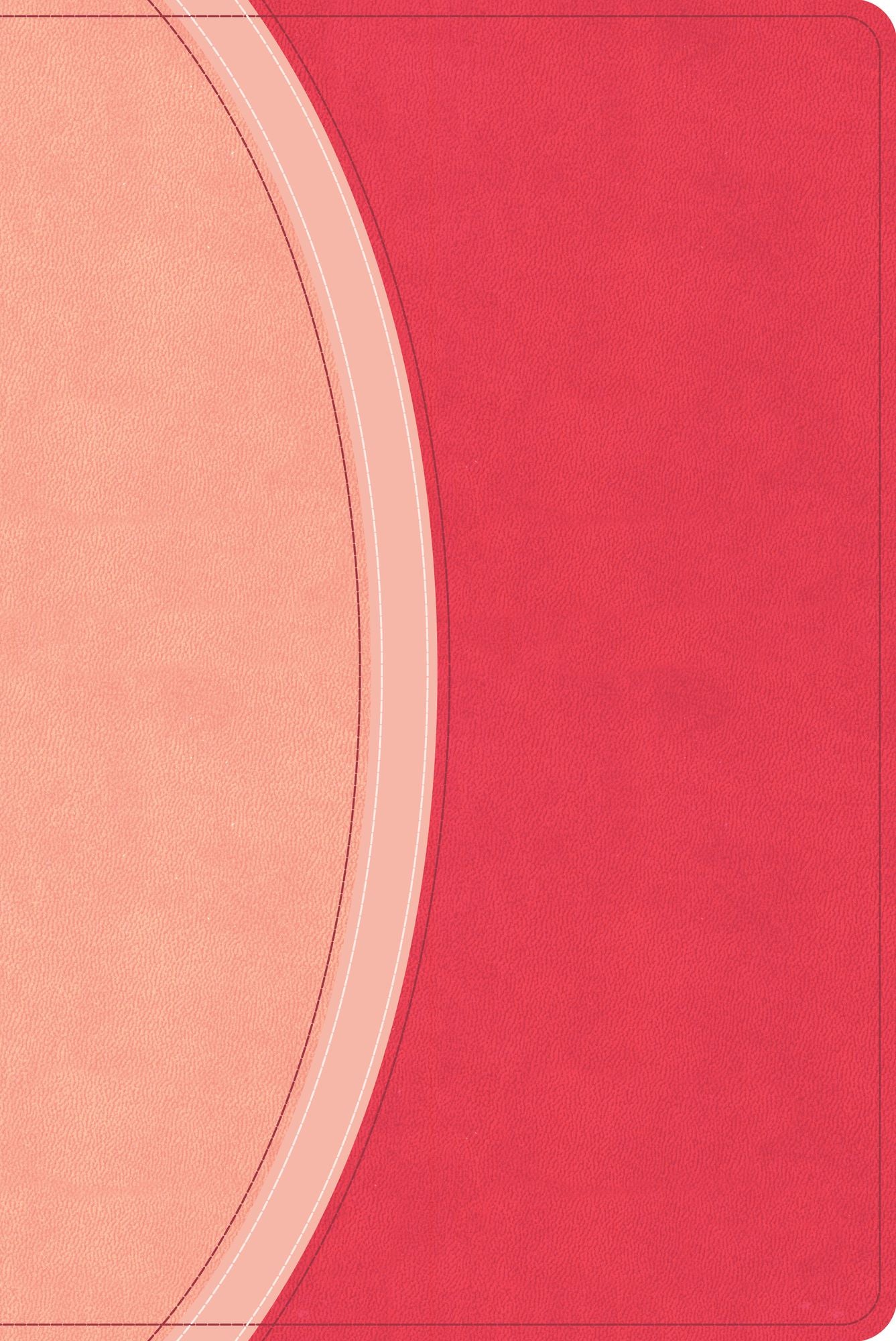 CSB Rainbow Study Bible, Pink LeatherTouch (Limited Edition)