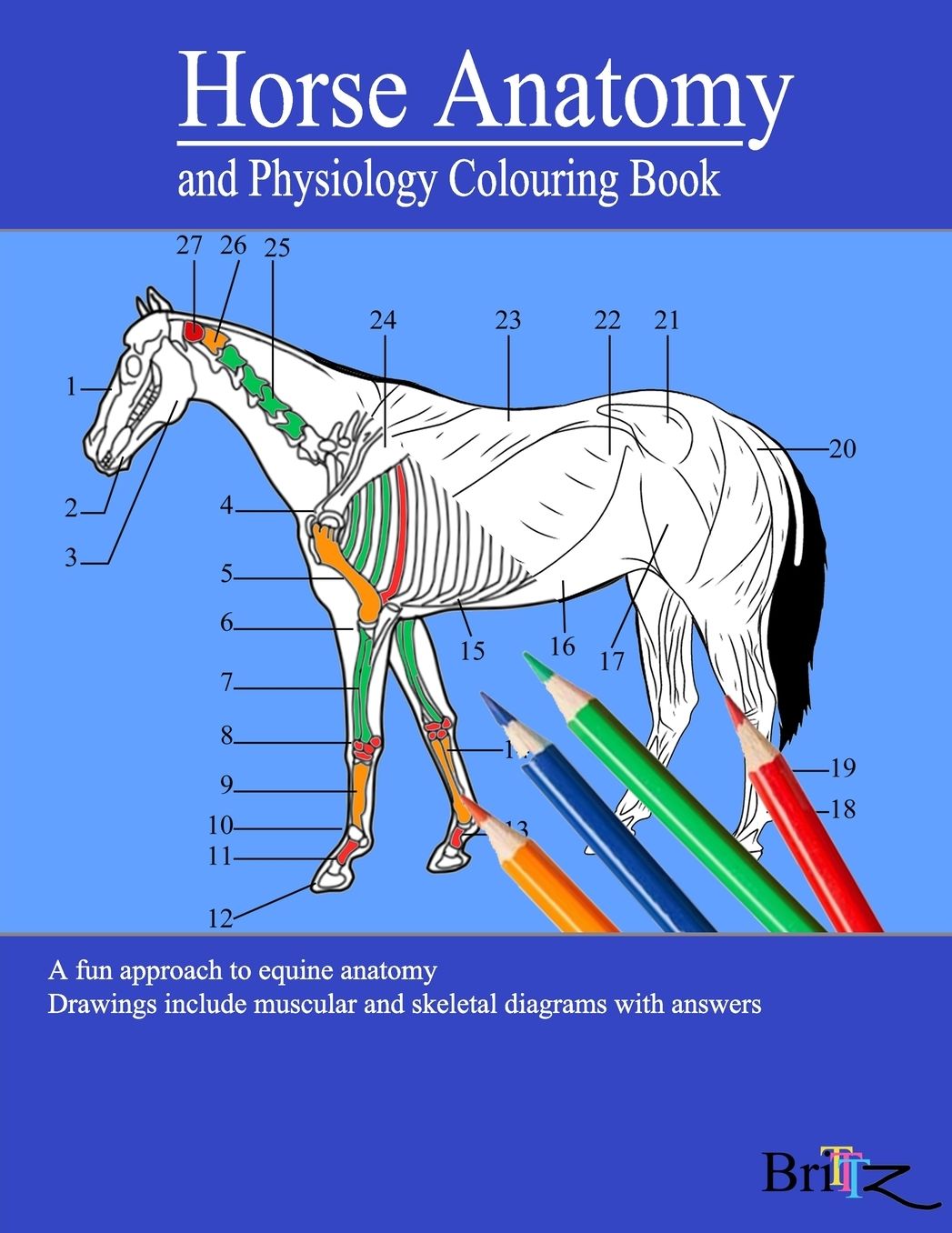 Horse Anatomy and Physiology Colouring Book: A Detailed Guide to Equine Anatomy with Answers Perfect Gift for Veterinary Students, Animal lovers, Adults, and Teens