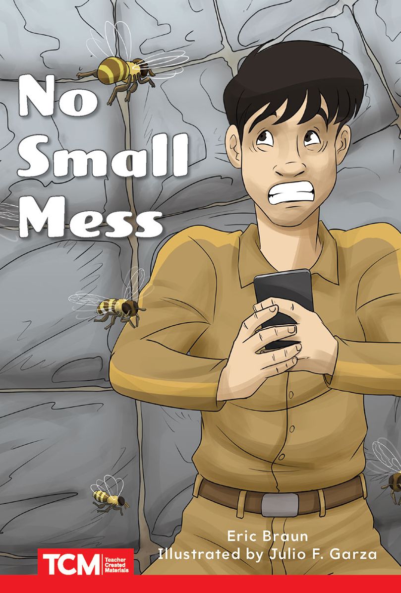No Small Mess: Level 1: Book 7
