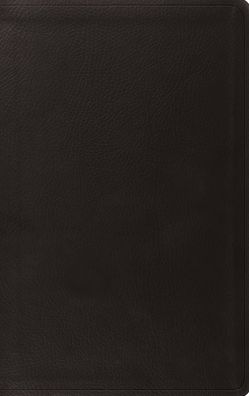 ESV Value Thinline Bible (TruTone, Black)