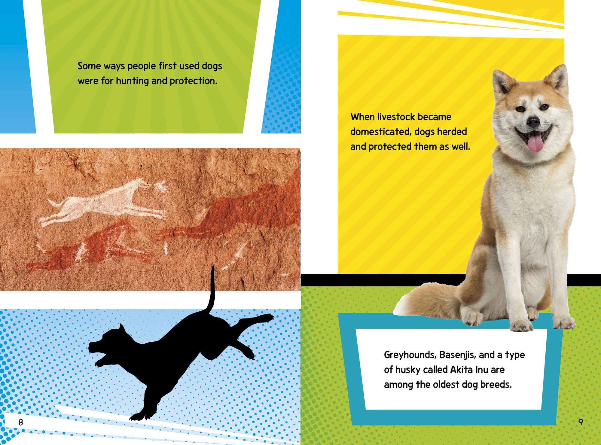 Dog Fact Frenzy!