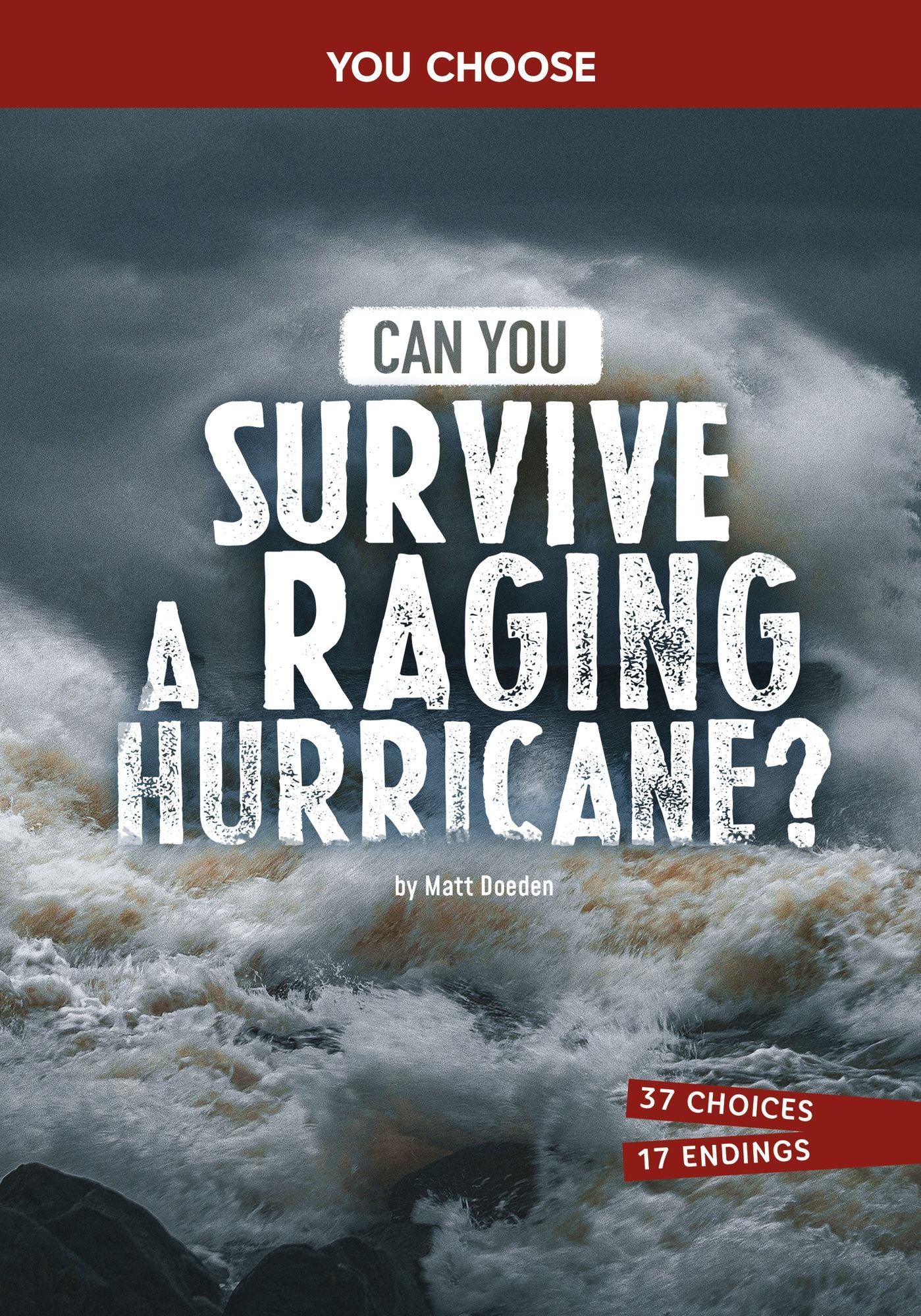 Can You Survive a Raging Hurricane?: An Interactive Survival Adventure