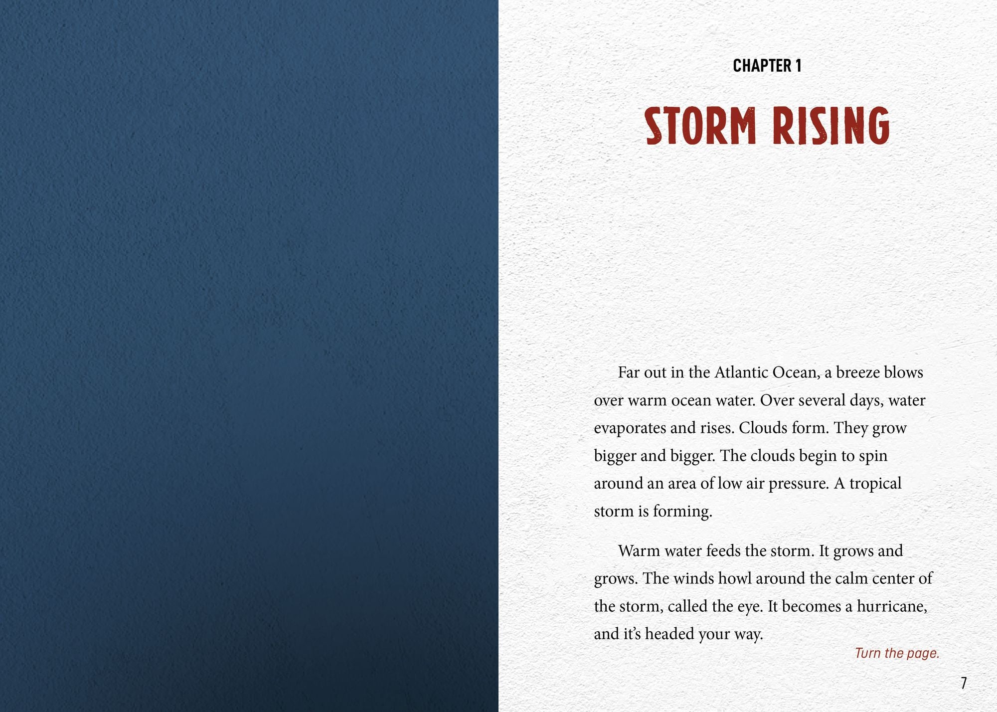 Can You Survive a Raging Hurricane?: An Interactive Survival Adventure
