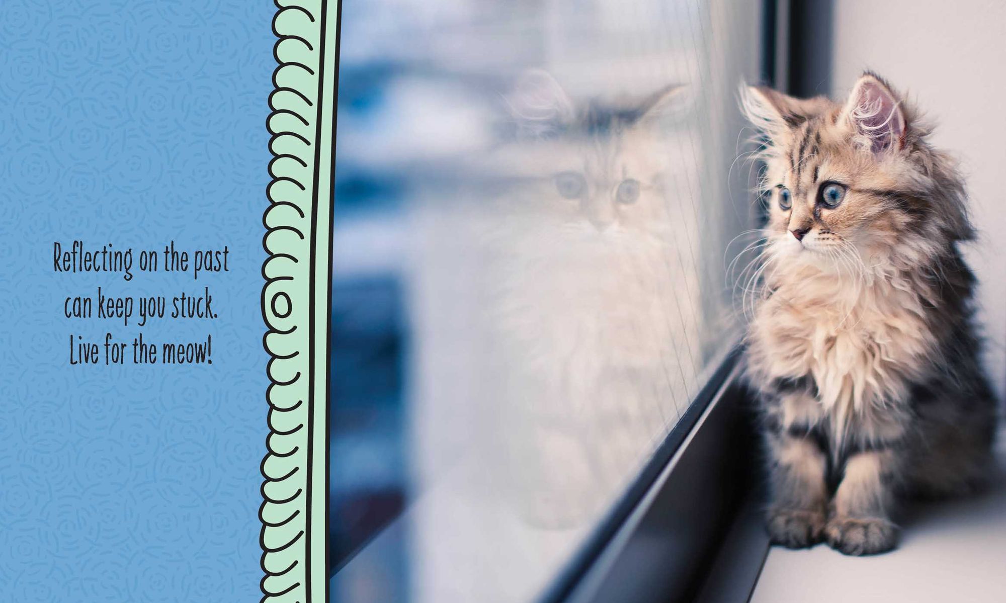 Cats Are Cheaper than Therapy: Life Advice from Feline Expurrts