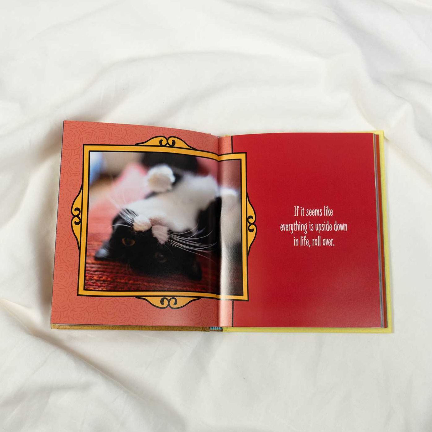 Cats Are Cheaper than Therapy: Life Advice from Feline Expurrts