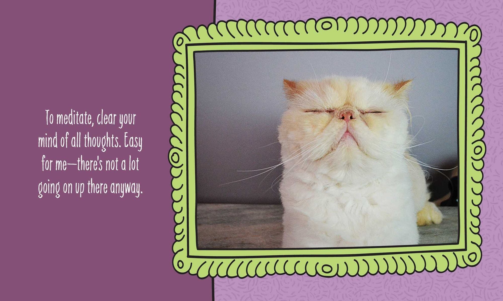 Cats Are Cheaper than Therapy: Life Advice from Feline Expurrts