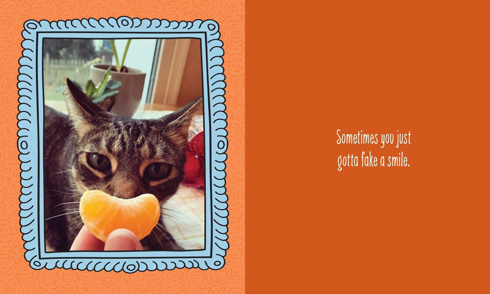 Cats Are Cheaper than Therapy: Life Advice from Feline Expurrts