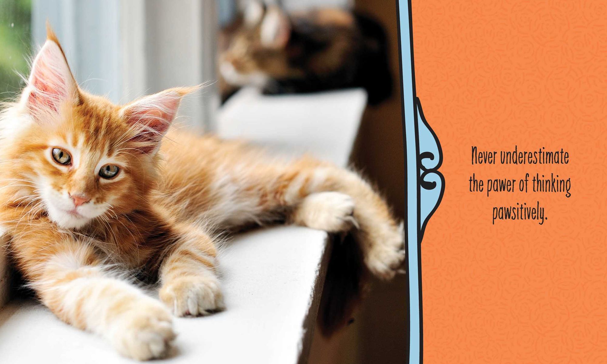 Cats Are Cheaper than Therapy: Life Advice from Feline Expurrts