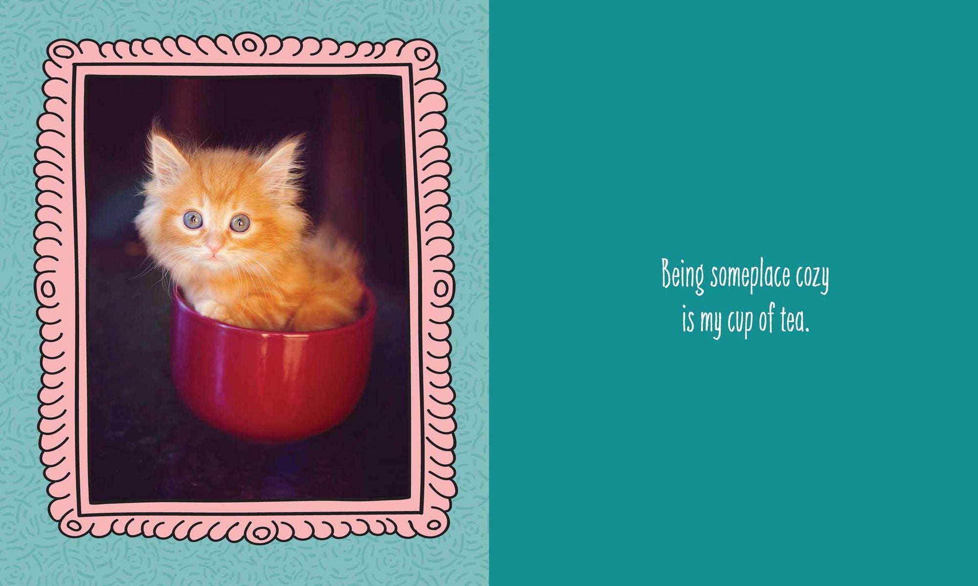 Cats Are Cheaper than Therapy: Life Advice from Feline Expurrts