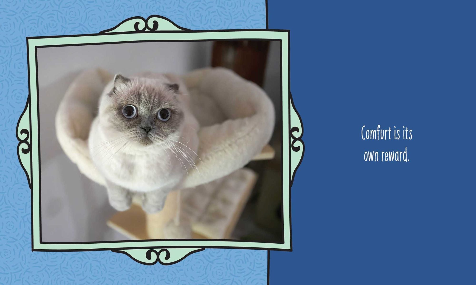 Cats Are Cheaper than Therapy: Life Advice from Feline Expurrts
