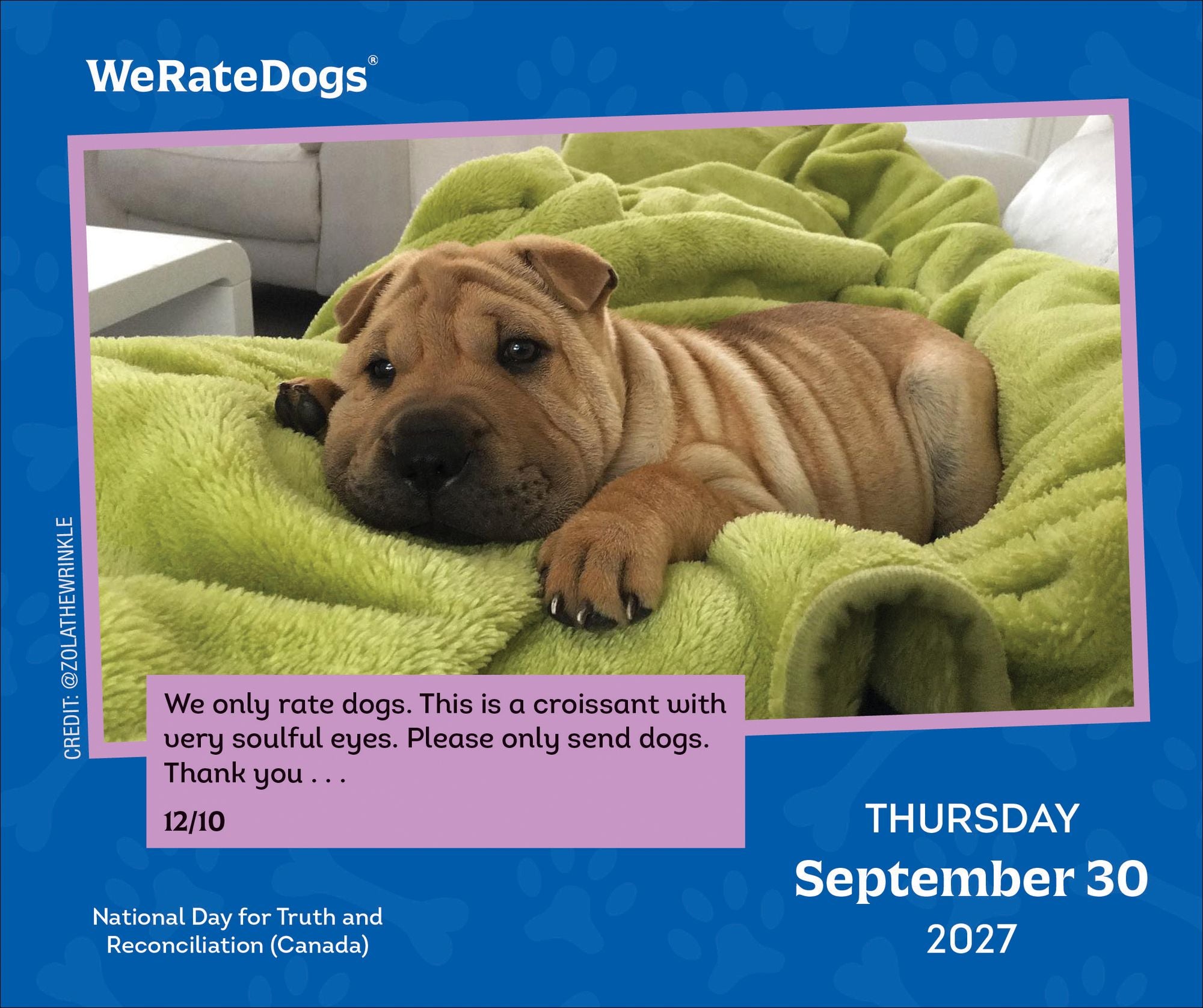 2027 WeRateDogs Day-to-Day Calendar