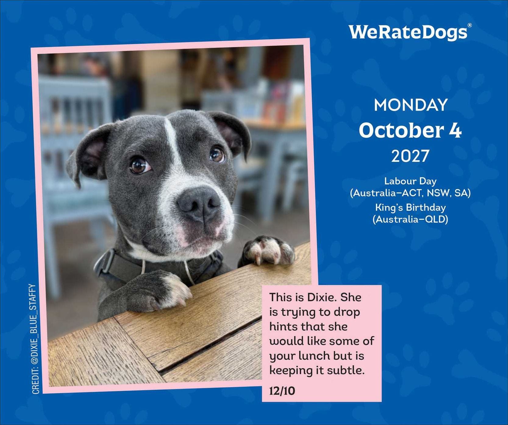 2027 WeRateDogs Day-to-Day Calendar