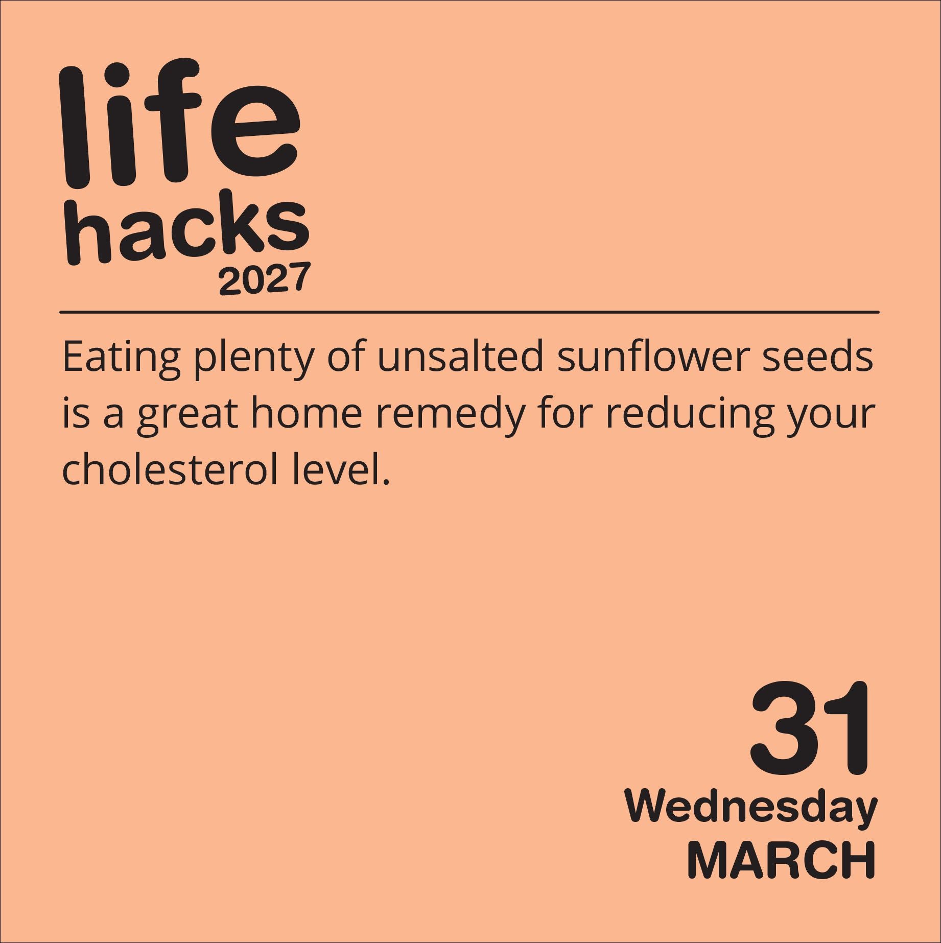 2027 Life Hacks Day-to-Day Calendar