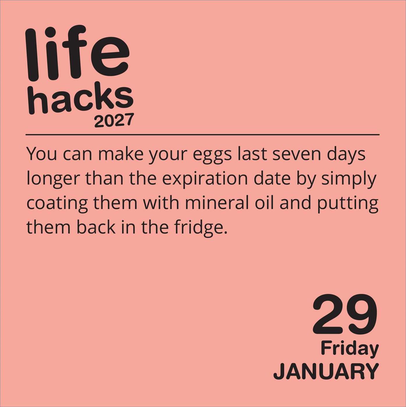 2027 Life Hacks Day-to-Day Calendar