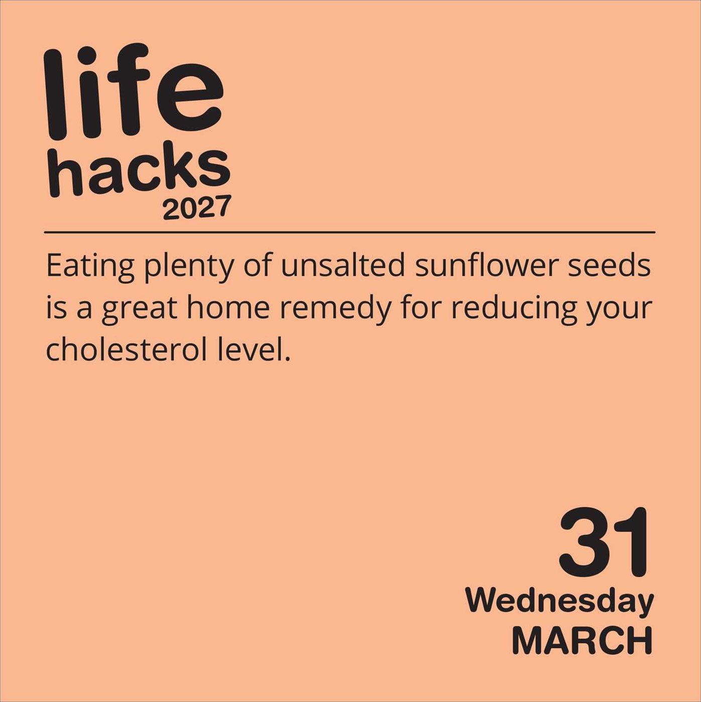 2027 Life Hacks Day-to-Day Calendar