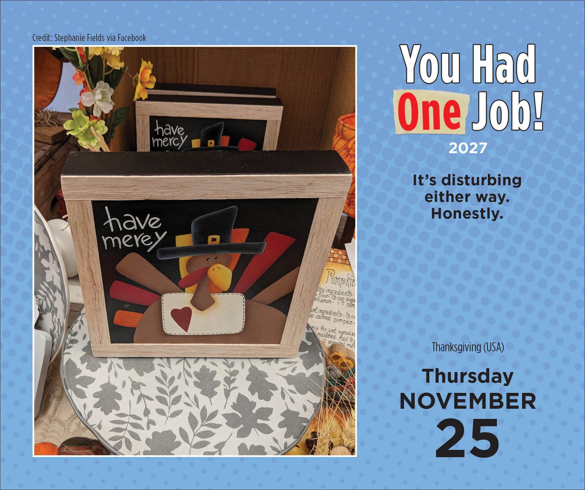 2027 You Had One Job Day-to-Day Calendar