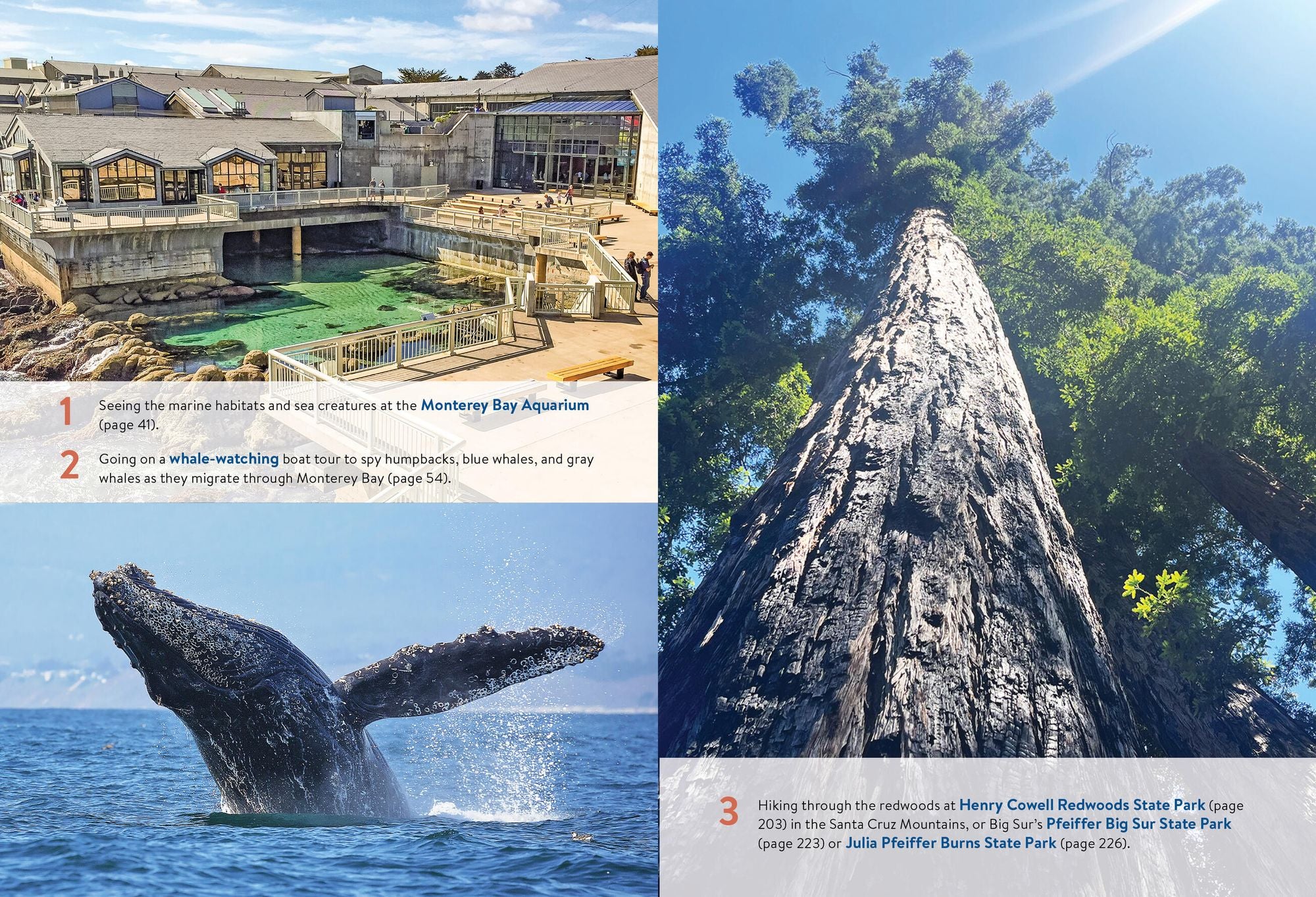 Moon Monterey & Carmel: With Santa Cruz & Big Sur: Coastal Getaways, Scenic Drives, Hiking & Kayaking