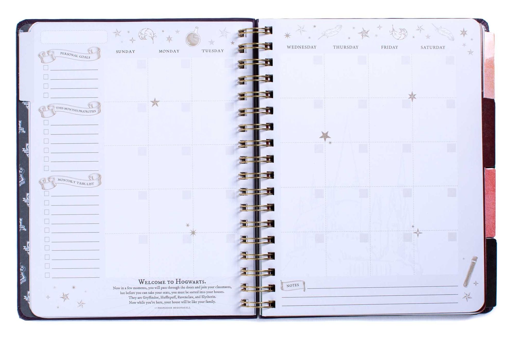 Harry Potter: Hogwarts Teacher's 12-Month Undated Planner: (Harry Potter School Planner School, Harry Potter Gift, Harry Potter Stationery, Undated Planner, Teacher Planner)