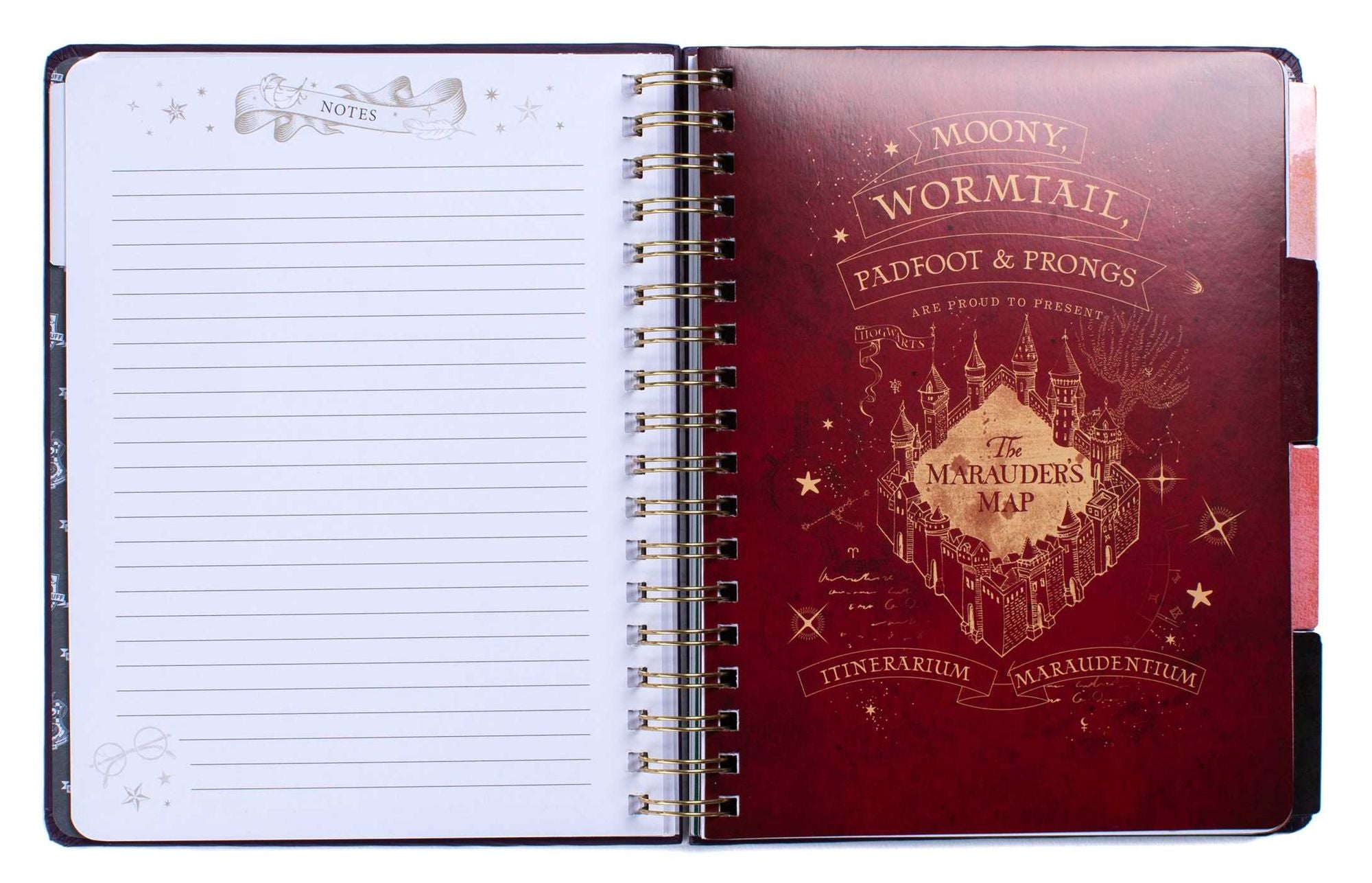 Harry Potter: Hogwarts Teacher's 12-Month Undated Planner: (Harry Potter School Planner School, Harry Potter Gift, Harry Potter Stationery, Undated Planner, Teacher Planner)