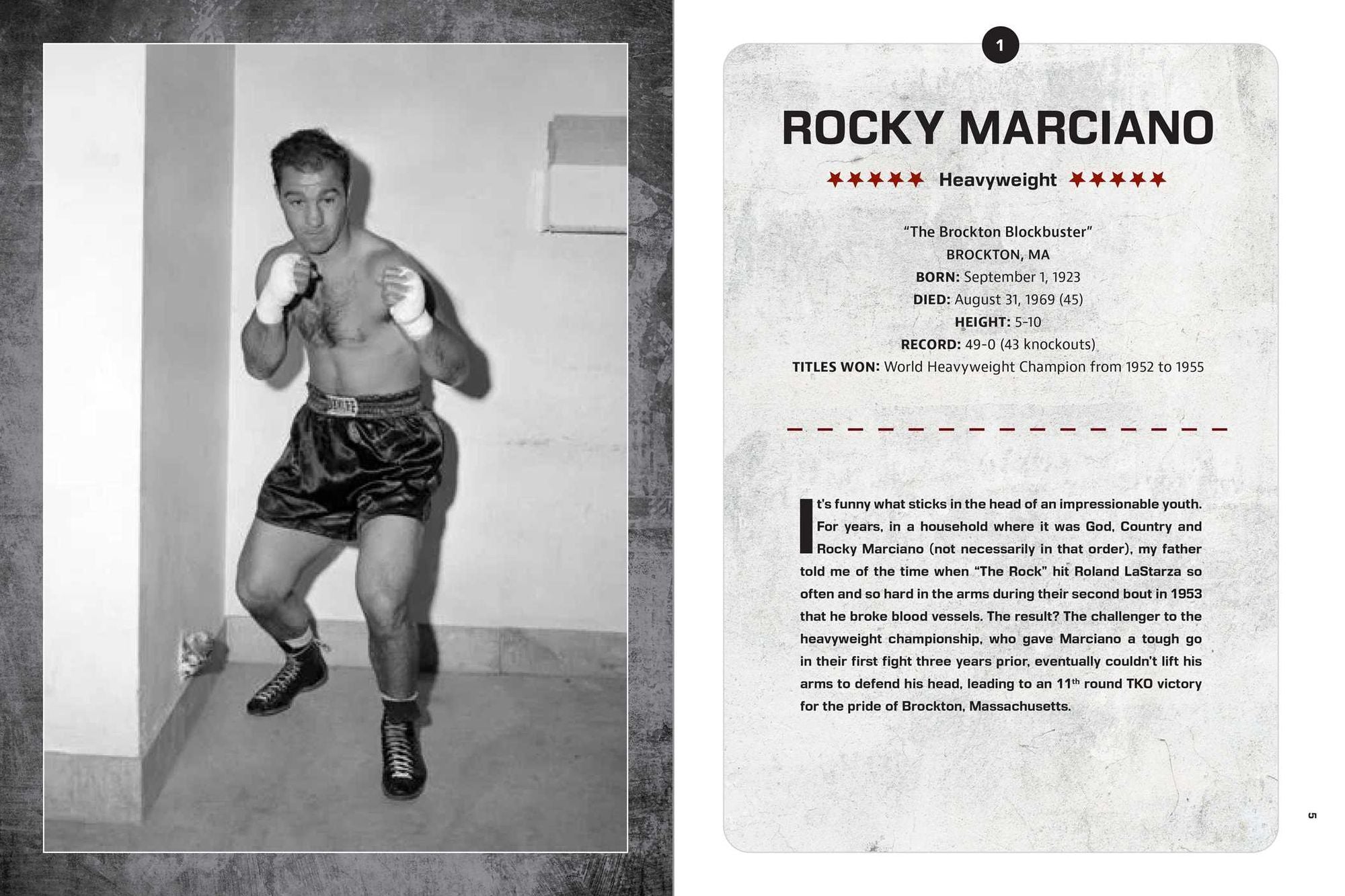 Boxing: The 100 Greatest Fighters