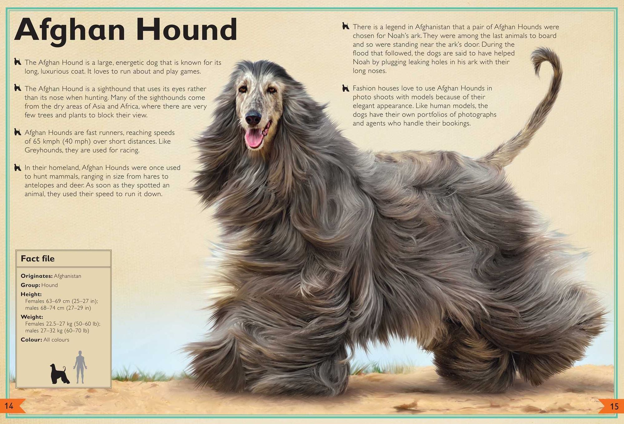 The Magnificent Book of Dogs