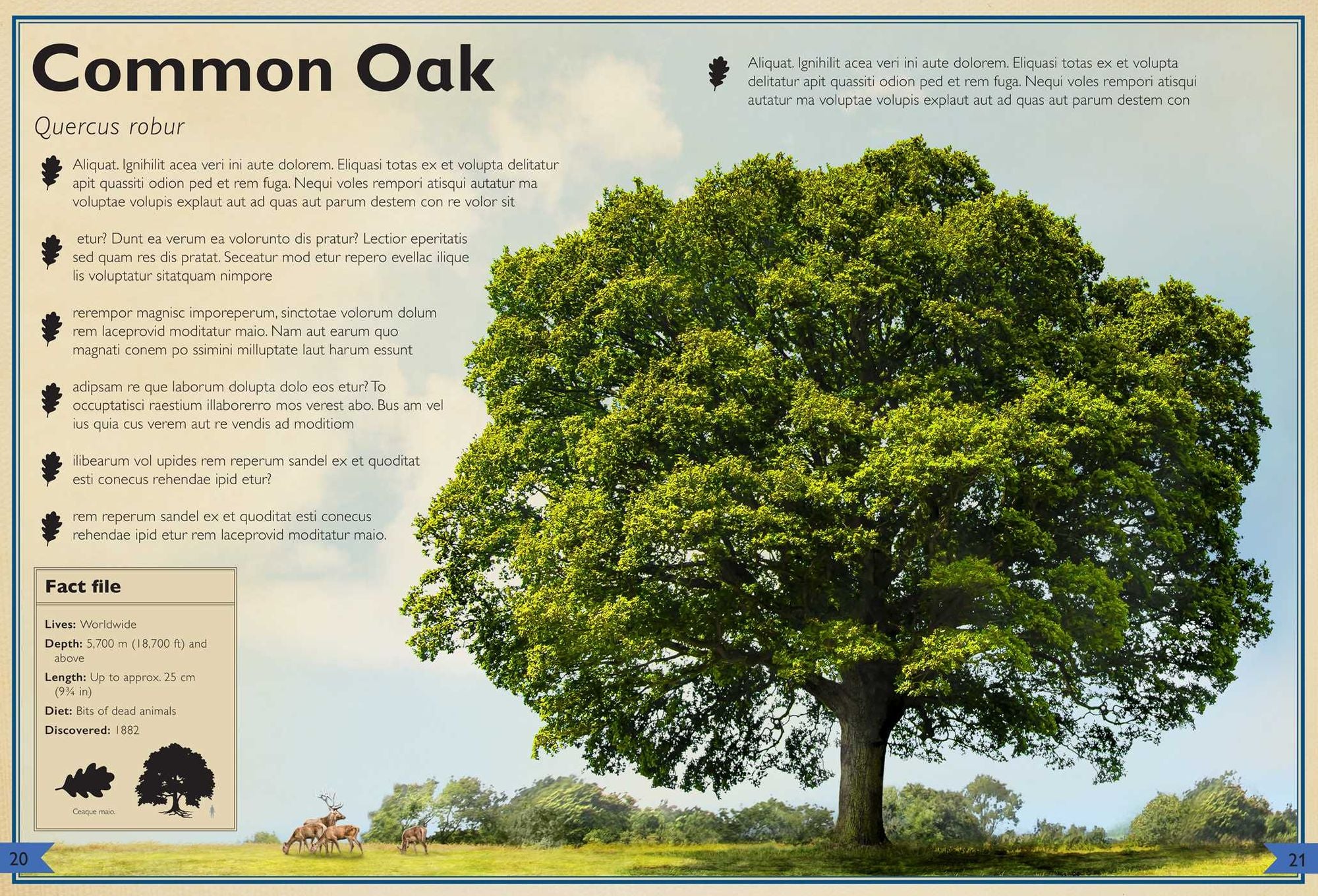 The Magnificent Book of Trees