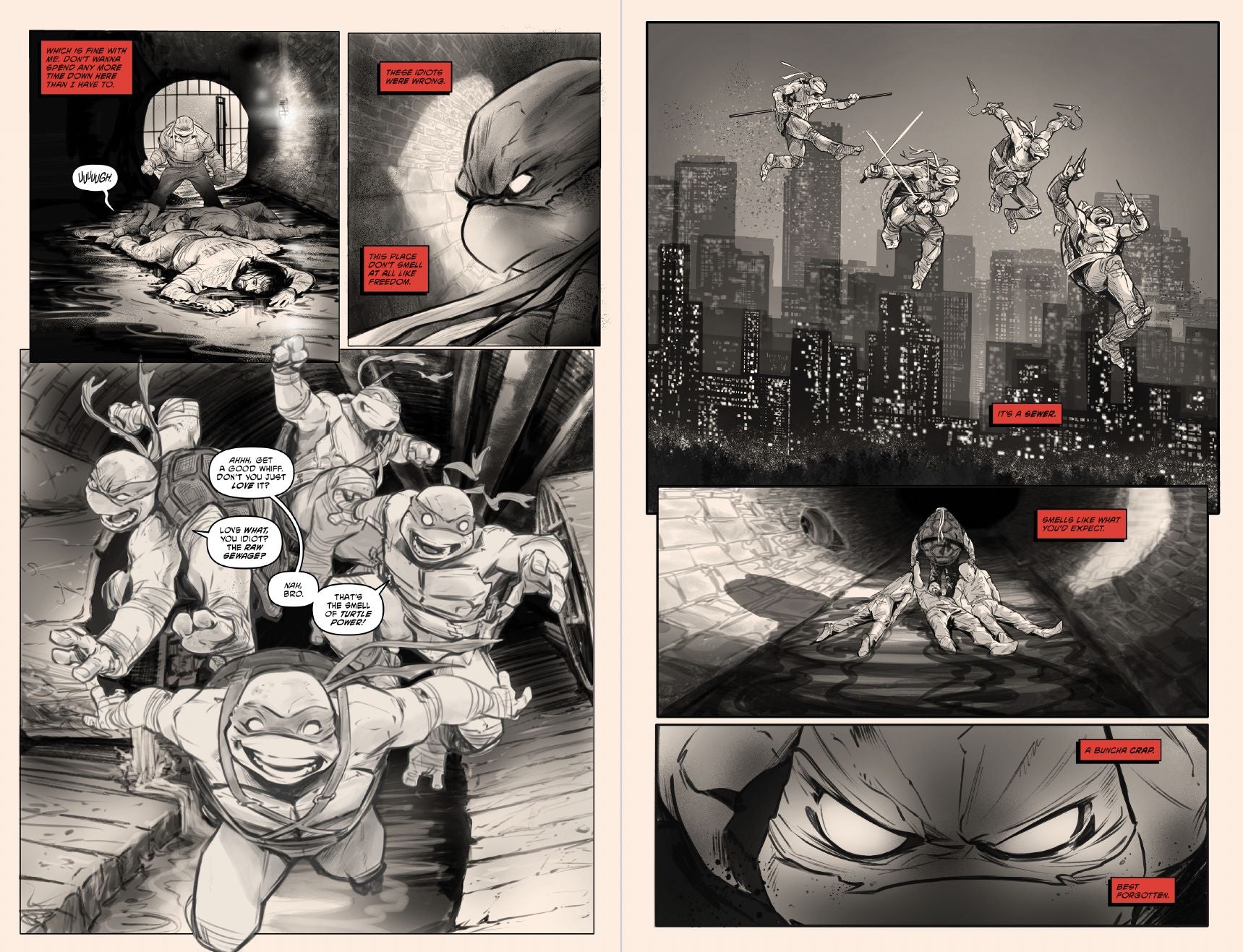Teenage Mutant Ninja Turtles, Vol. 1: Return to New York-Inked Deluxe Edition