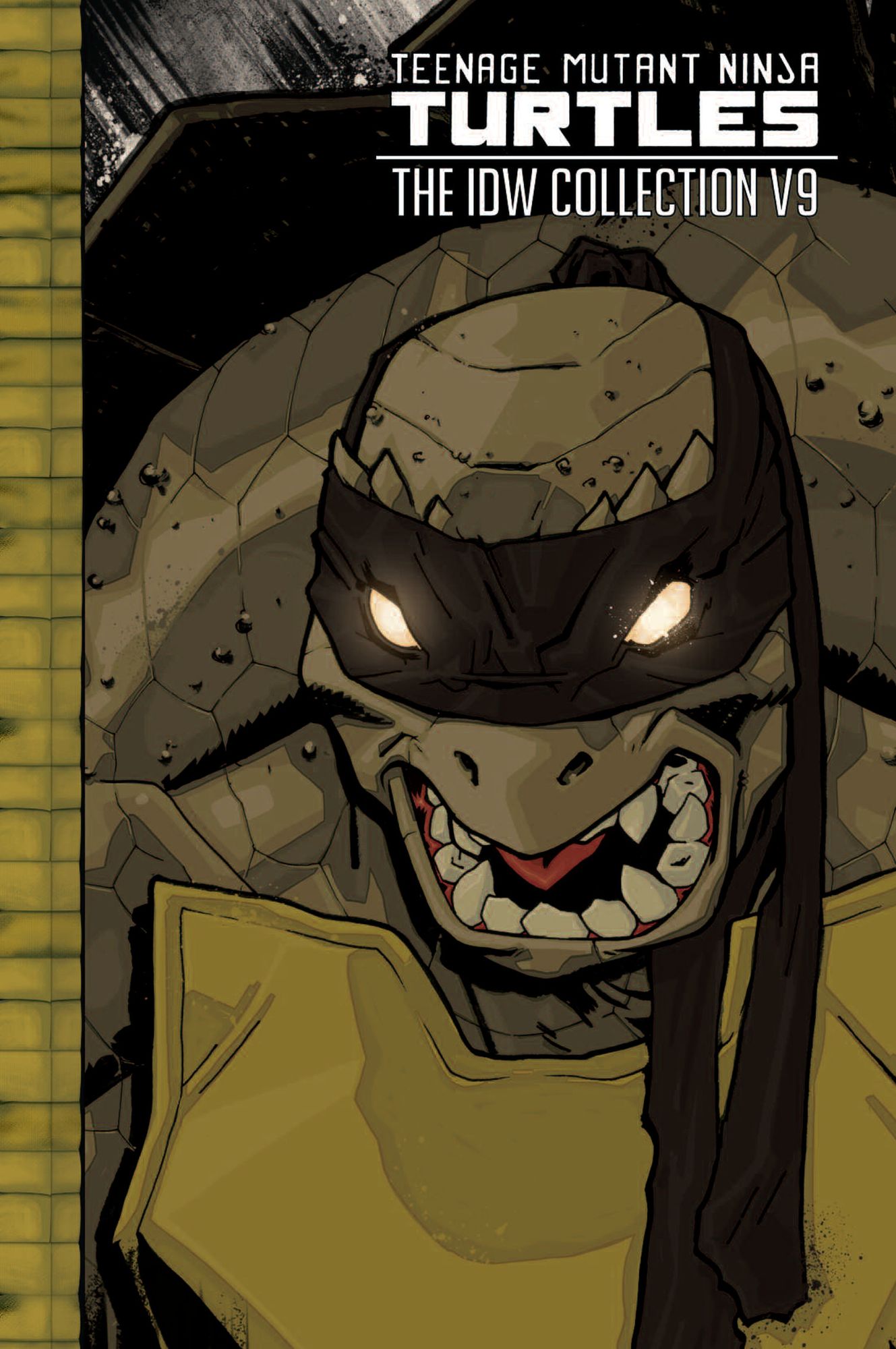 Teenage Mutant Ninja Turtles: The IDW Collection Volume 9