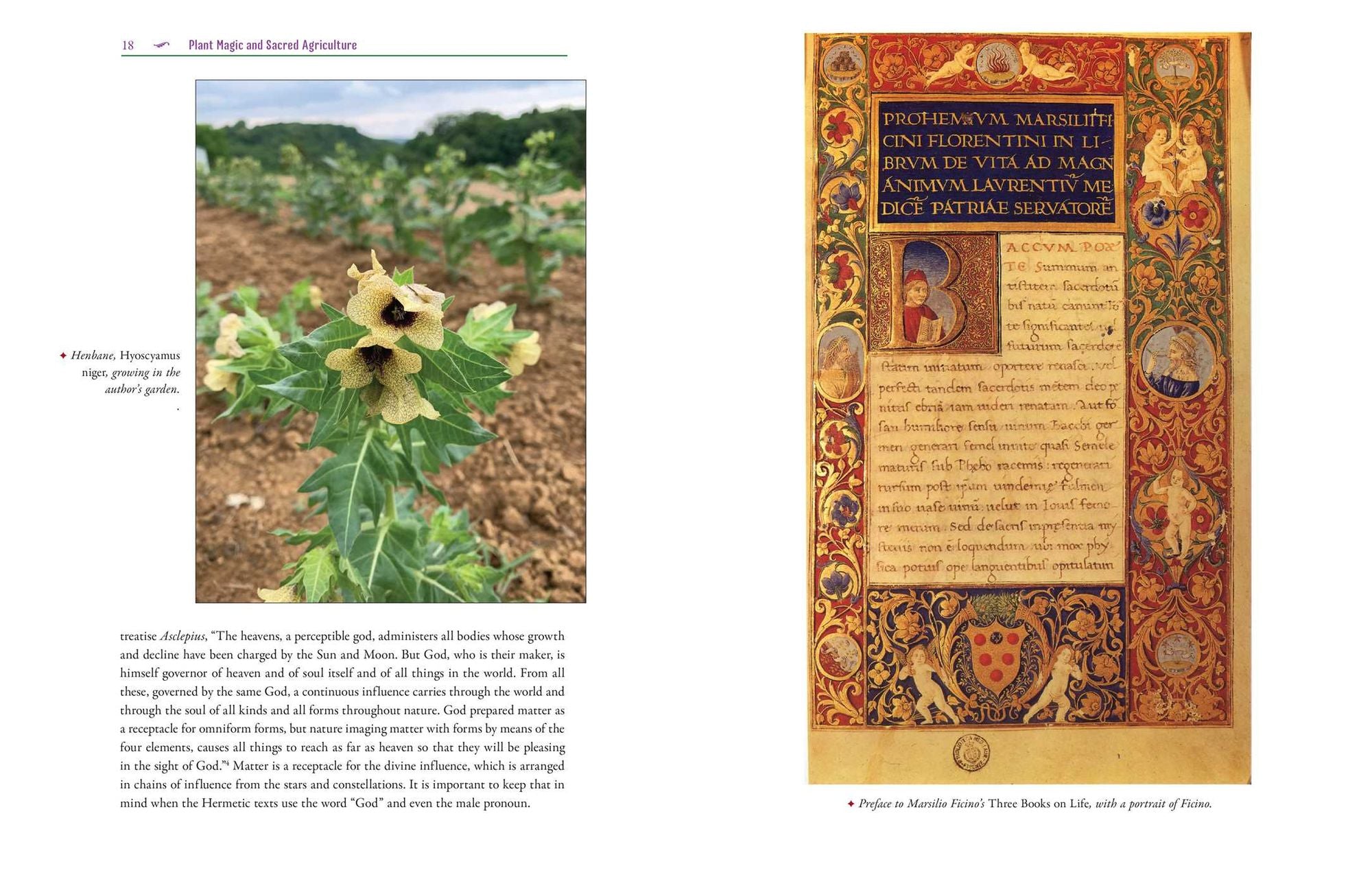The Cunning Farmer: Agrarian Magical Practices, Mythology, and Folklore
